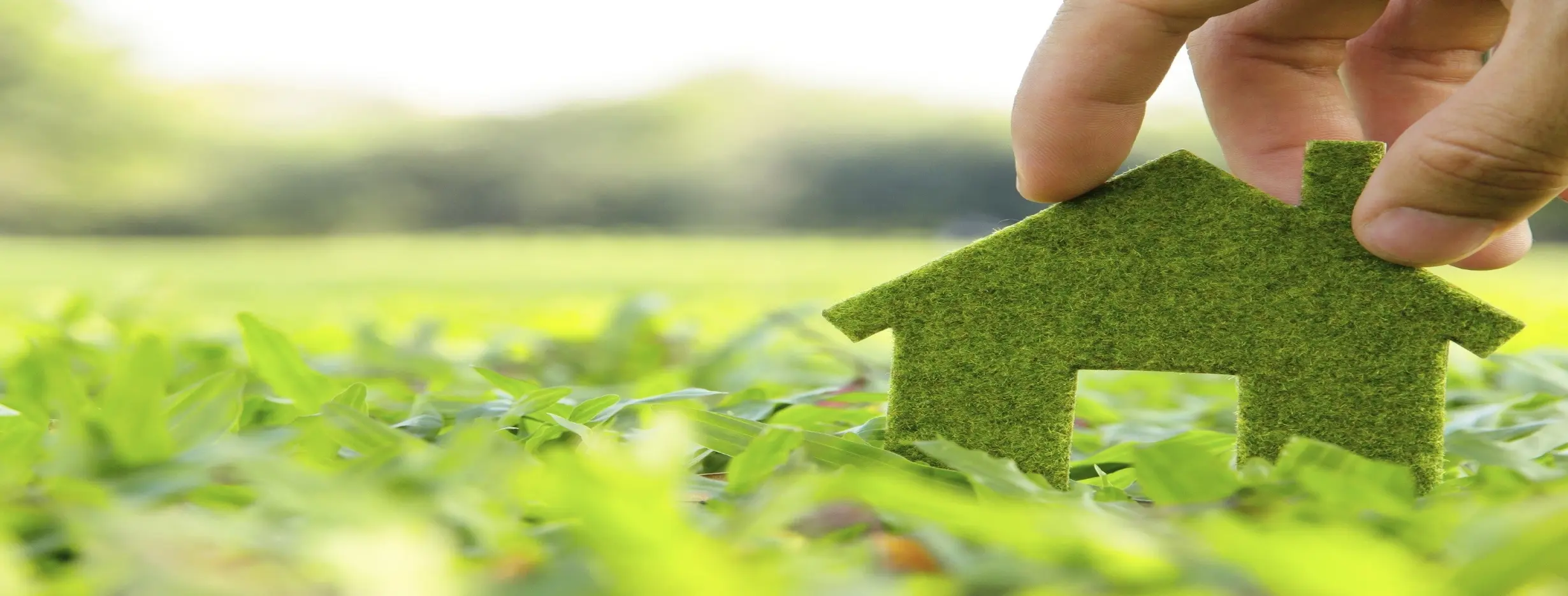 Image for Sustainable Living